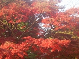 dscn0869