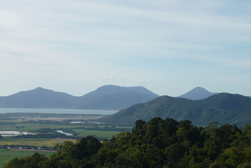 p1010085.jpg - A view of trees, mountains, and the ocean from the Skyrail.