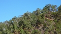p1010143