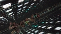 P1030286