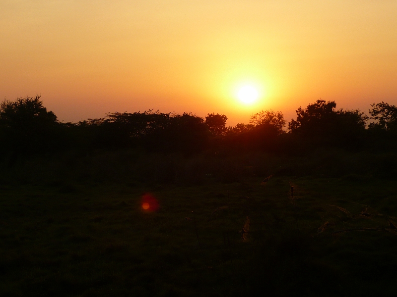 p1020171.jpg - Another sunset picture.