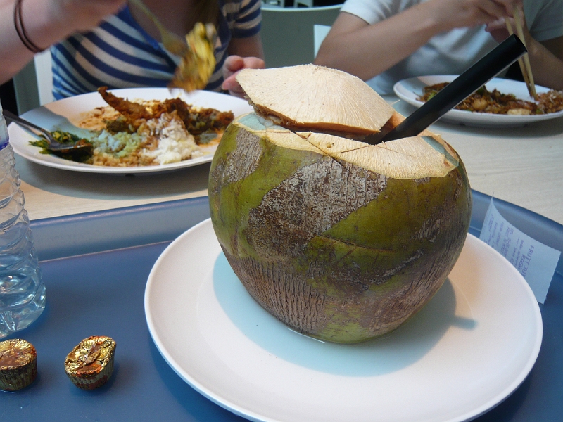 p1020342.jpg - I got a coconut!

And those Reese's peanut butter cups melted all over my ringgits.  (That's the name of Malaysia's currency.)  It was hot there!
